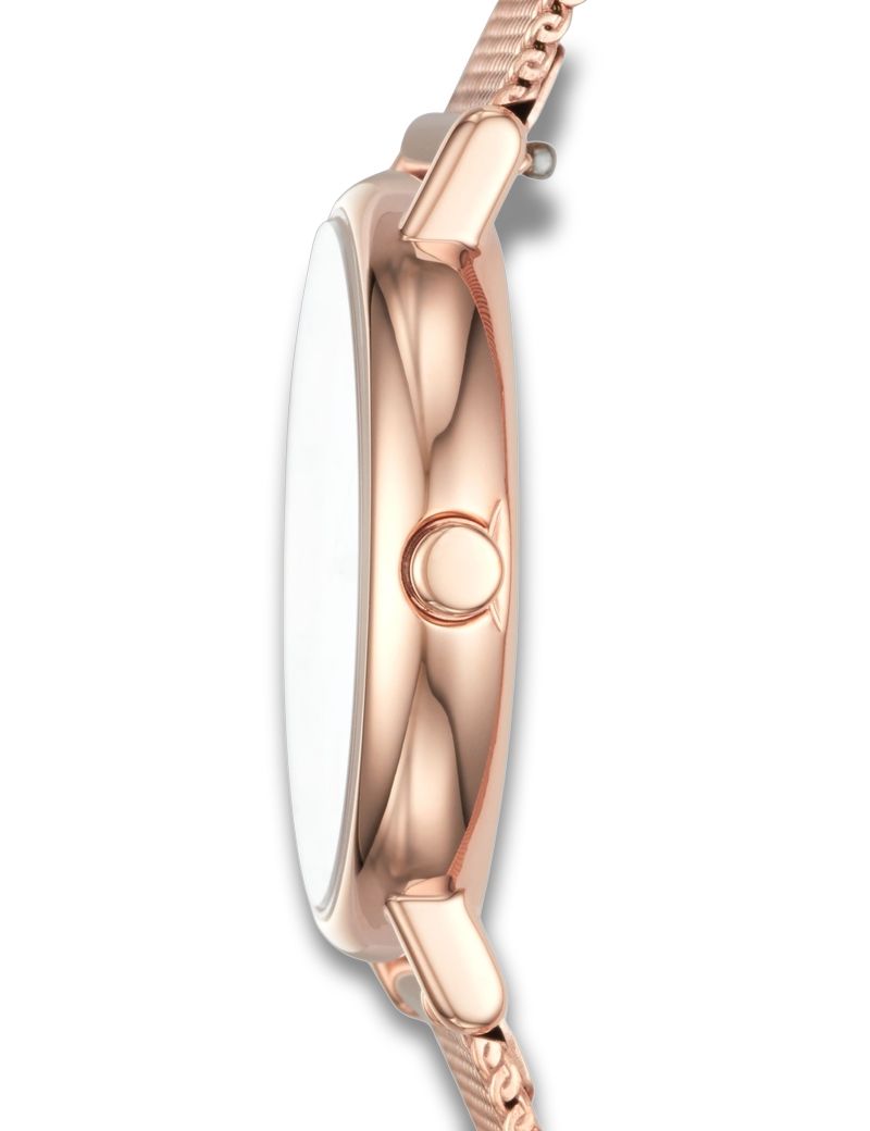 Skagen Signatur Lille