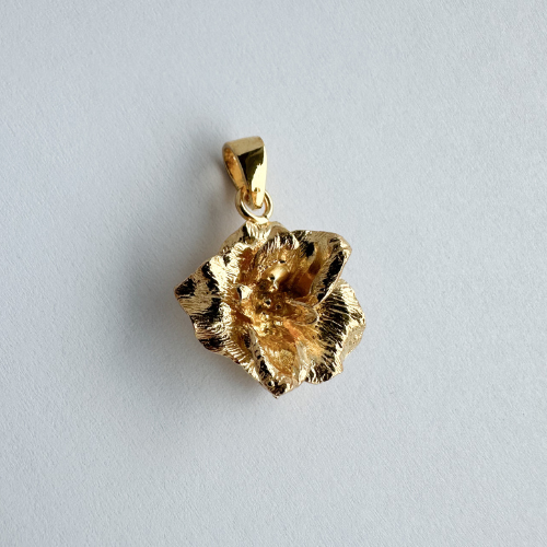 Pendant - 14 carats (M)