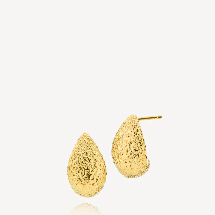 Nirvana earrings gold plated