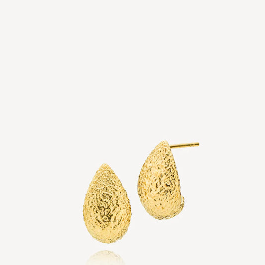 Nirvana earrings gold plated