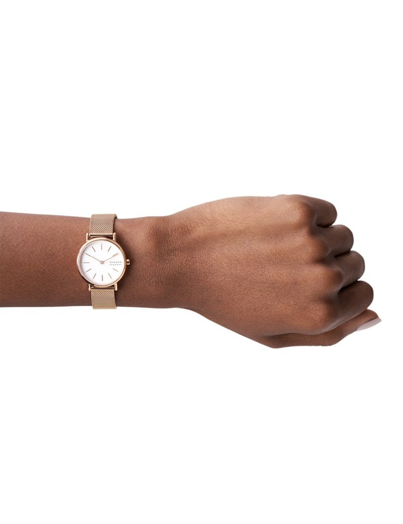 Skagen Signatur Lille